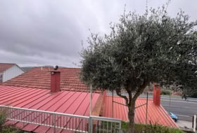 Foto 17