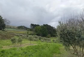 Crecente 11000&nbsp;m² 