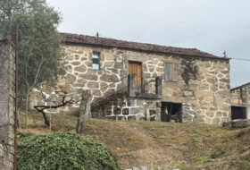 Crecente 11000&nbsp;m² 