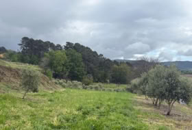 Crecente 11000&nbsp;m² 