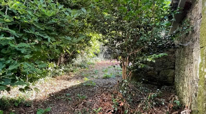 Pontevedra - Vila de Cruces - 1500m2