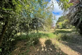 Vila de Cruces 1500&nbsp;m² 