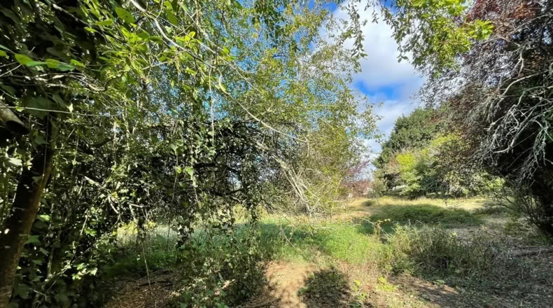 Pontevedra - Vila de Cruces - 1500m2