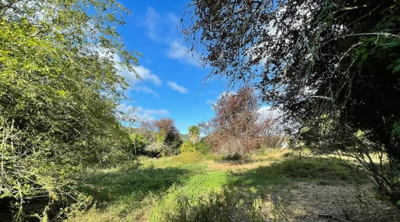 Pontevedra - Vila de Cruces - 1500m2