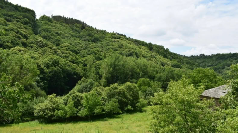 Lugo - A Cruz do Incio - 7000m2