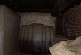 Foto 8