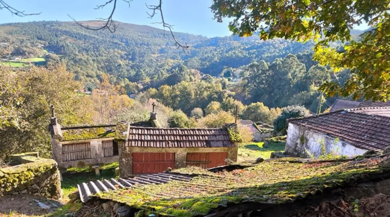 Pontevedra - Pontevedra - 3000m2