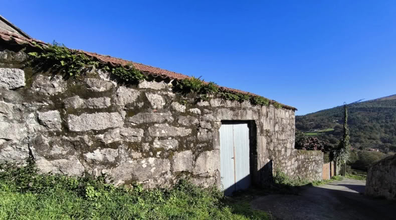 Pontevedra - Pontevedra - 3000m2