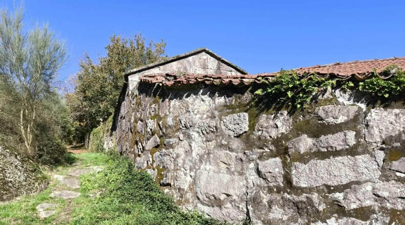 Pontevedra - Pontevedra - 3000m2