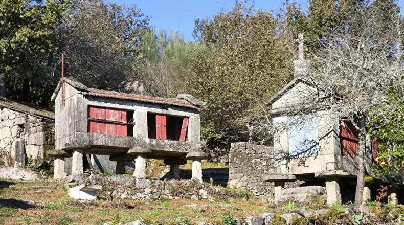 Pontevedra - Pontevedra - 3000m2