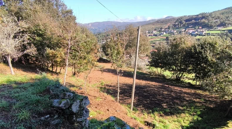 Pontevedra - Pontevedra - 3000m2