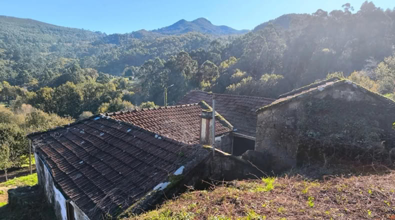 Pontevedra - Pontevedra - 3000m2