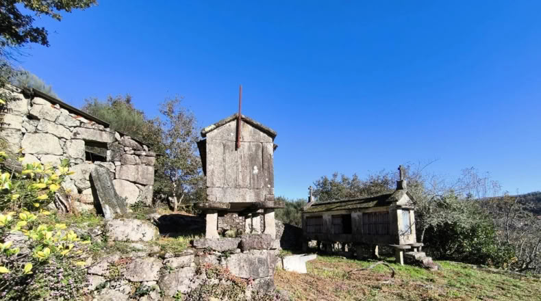 Pontevedra - Pontevedra - 3000m2