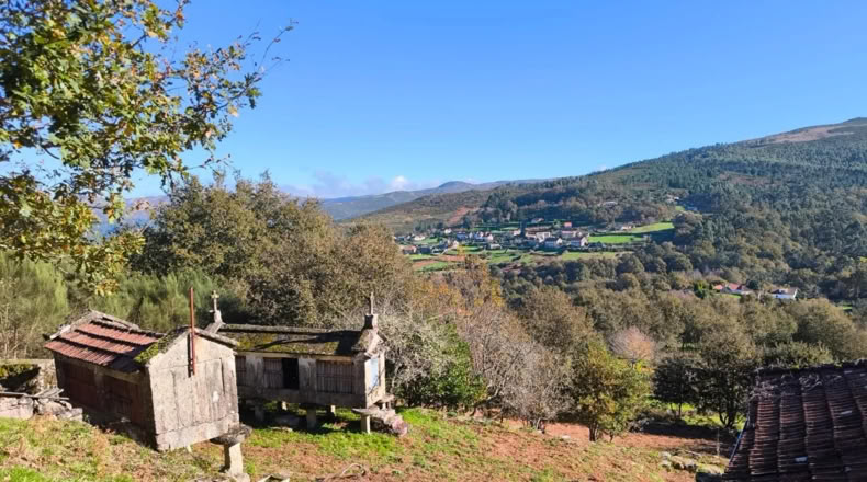 Pontevedra - Pontevedra - 3000m2