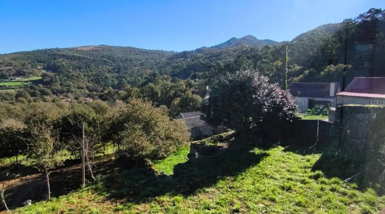 Pontevedra - Pontevedra - 3000m2