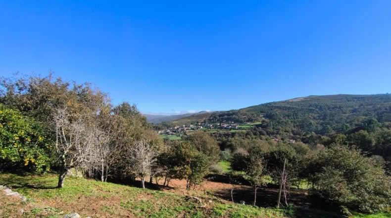 Pontevedra - Pontevedra - 3000m2
