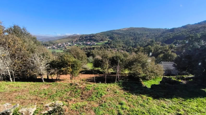 Pontevedra - Pontevedra - 3000m2