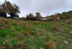 Maside 100&nbsp;m² 