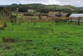 O Pazo de Meis 700&nbsp;м²