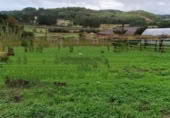 Parcel·la urbanitzable en venda a O Pazo de Meis ref.: TR406884 foto