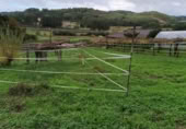 Parcel·la urbanitzable en venda a O Pazo de Meis ref.: TR406884 foto