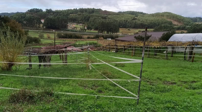 Pontevedra - O Pazo de Meis - 700m2