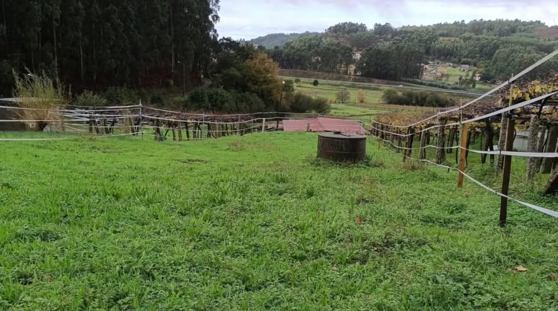Pontevedra - O Pazo de Meis - 700m2