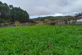 O Pazo de Meis 700&nbsp;м²