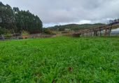 Parcel·la urbanitzable en venda a O Pazo de Meis ref.: TR406884 foto