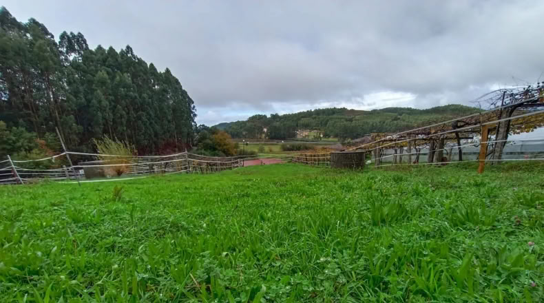 Pontevedra - O Pazo de Meis - 700m2