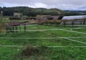 Parcel·la urbanitzable en venda a O Pazo de Meis ref.: TR406884 foto