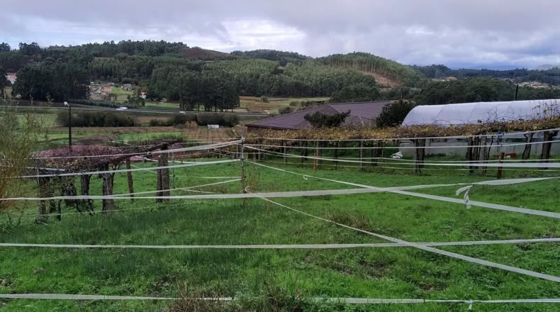 Pontevedra - O Pazo de Meis - 700m2