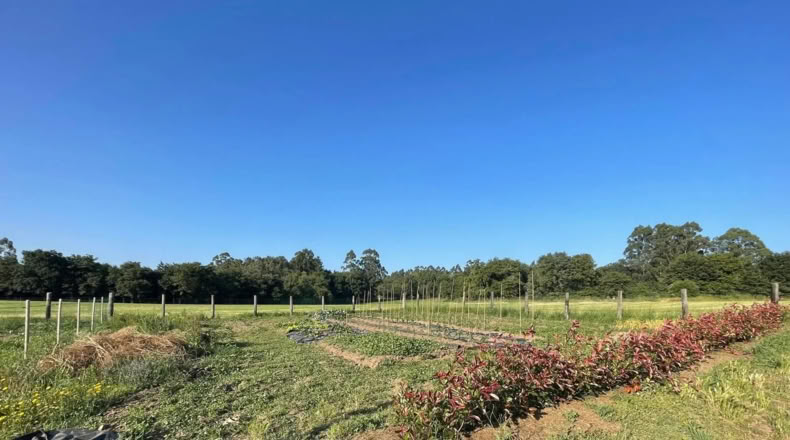Pontevedra - Pontevedra - 8900m2