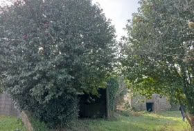 Foto 8