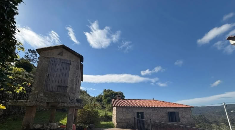 Pontevedra - Pontevedra - 1500m2