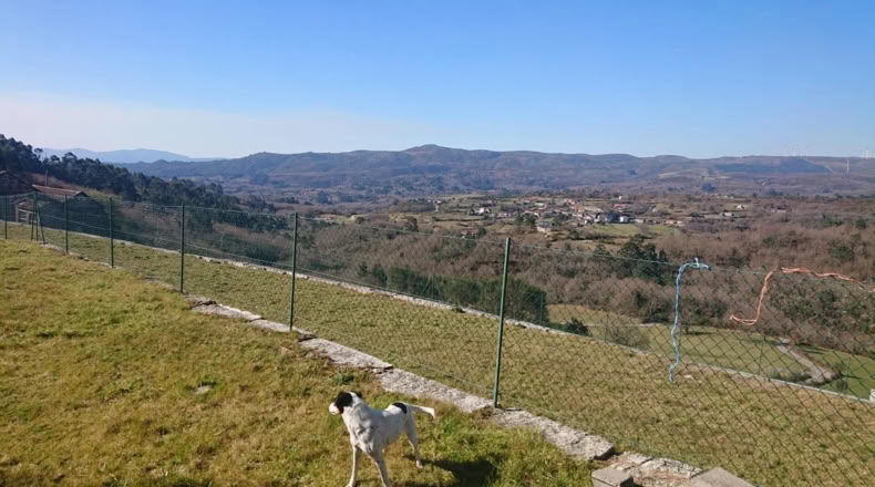 Pontevedra - Santiago de Covelo - 2000m2