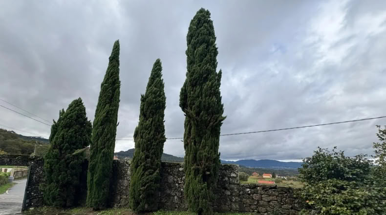 Pontevedra - Souto - 2700m2