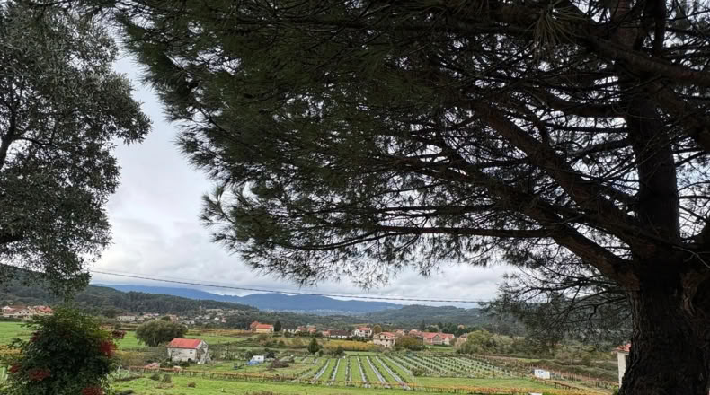Pontevedra - Souto - 2700m2