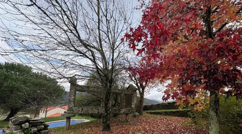 Pontevedra - Souto - 2700m2