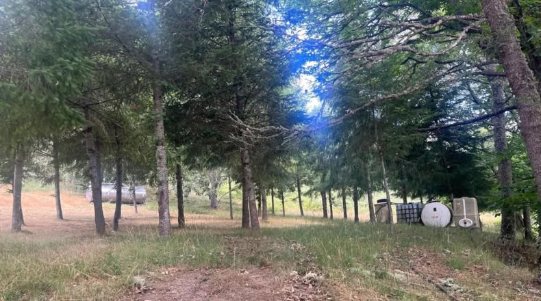 Orense - Ourense - 60000m2