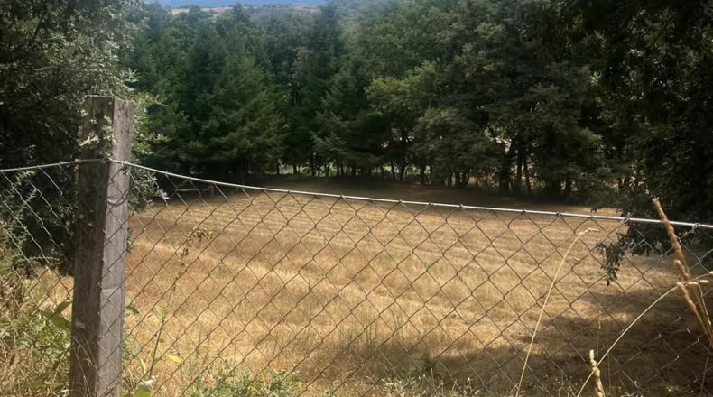 Orense - Ourense - 60000m2