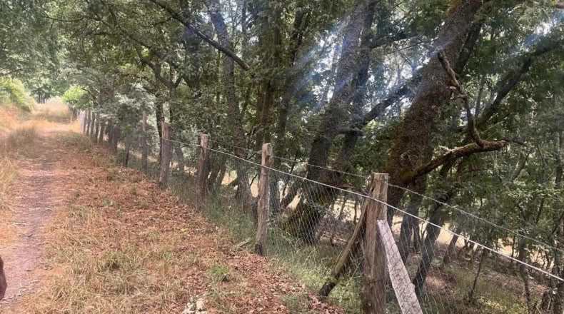 Orense - Ourense - 60000m2