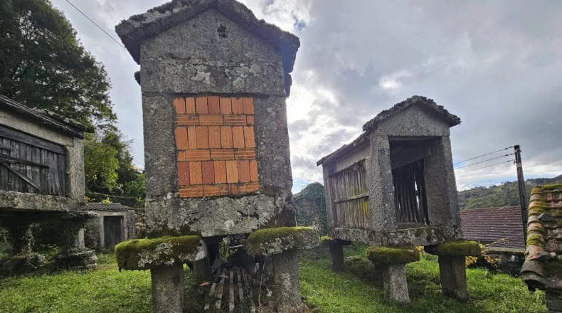 Orense - A Terrachán - 600m2
