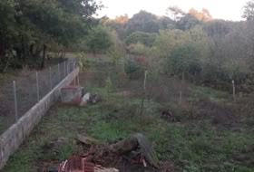 Maside 800&nbsp;m² 