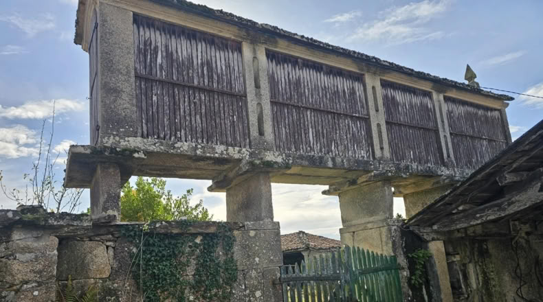 Pontevedra - Agolada - 800m2