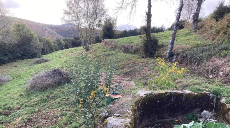 Lugo - O Cebreiro - 7000m2