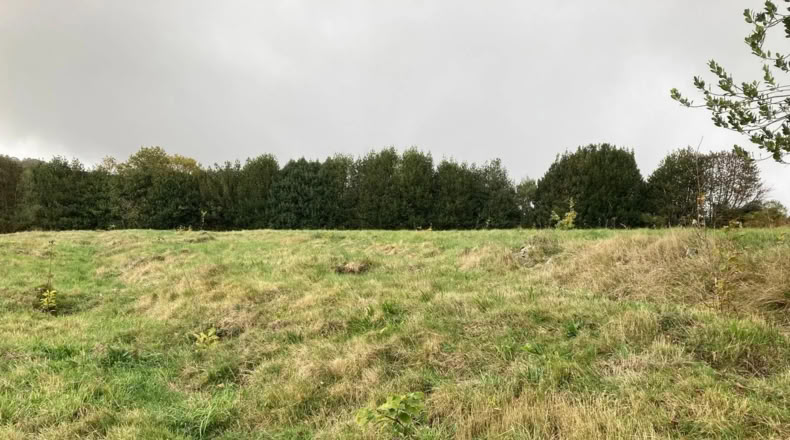 Lugo - O Cebreiro - 7000m2