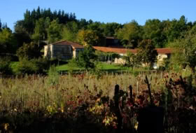 Foto 11