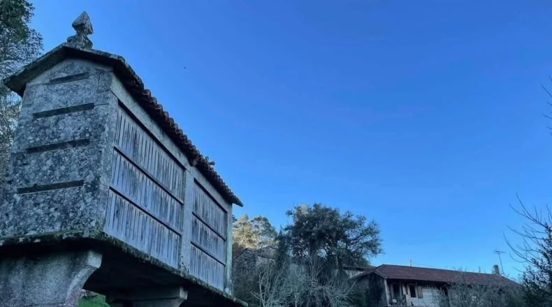 Pontevedra - Cerdedo - 4000m2