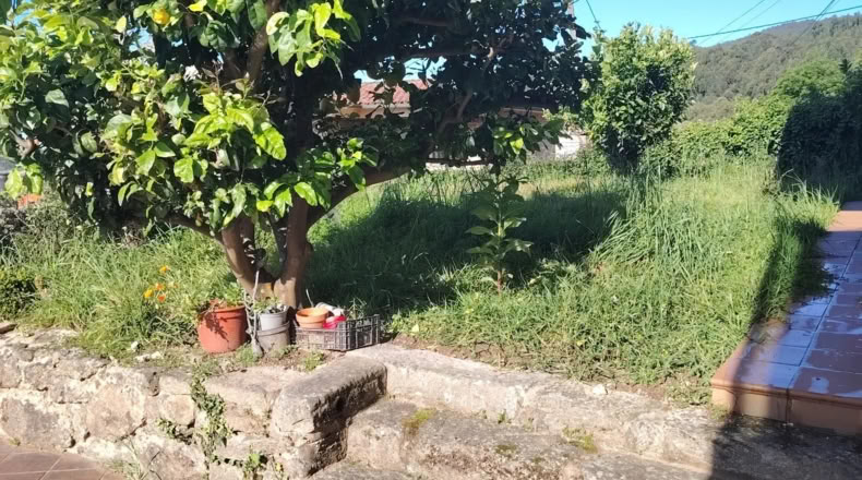 Pontevedra - Poio de Arriba - 300m2